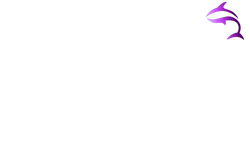 Aron Platforma